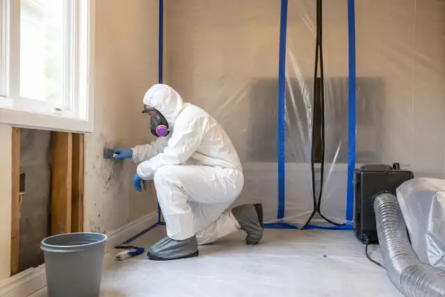 Mold Remediation service image